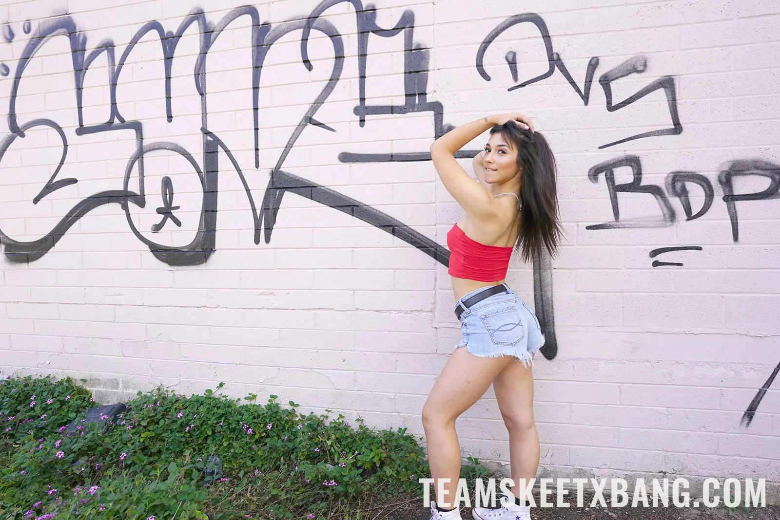 Team Skeet 'Los activos de Brooklyn' protagonizando Brooklyn Gray (foto 42)