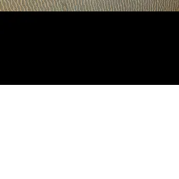 Chase Hart in 'Team Skeet' Best Vacation Ever (Thumbnail 7)