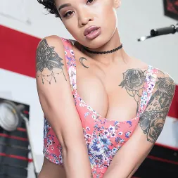 Honey Gold en 'Team Skeet' Acelerándola (Miniatura 7)