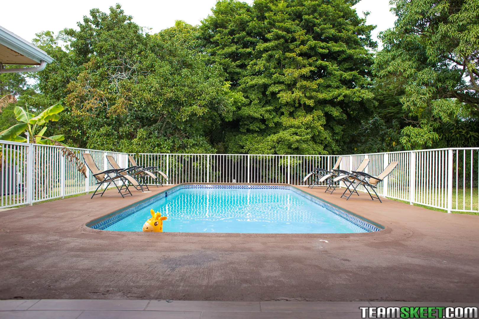 Team Skeet 'The Auto Erotic Spinner' starring Karlie Brooks (Photo 1)