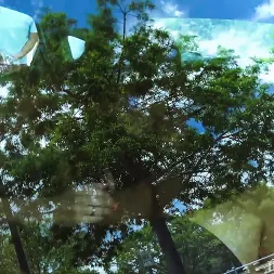 Vienna Black en 'Team Skeet' Aparcamiento (Miniatura 15)